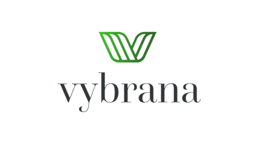 <span style="border-bottom: 5px solid #FFC200">V</span>ybrana